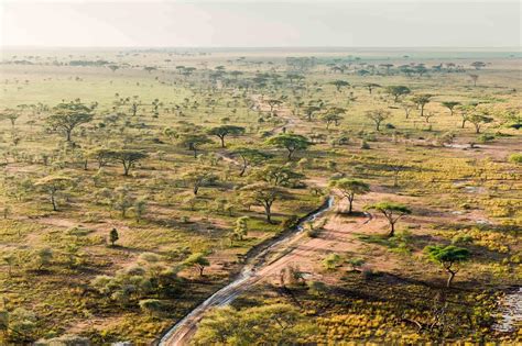 Serengeti National Park | Tanzania - Arusha Trips