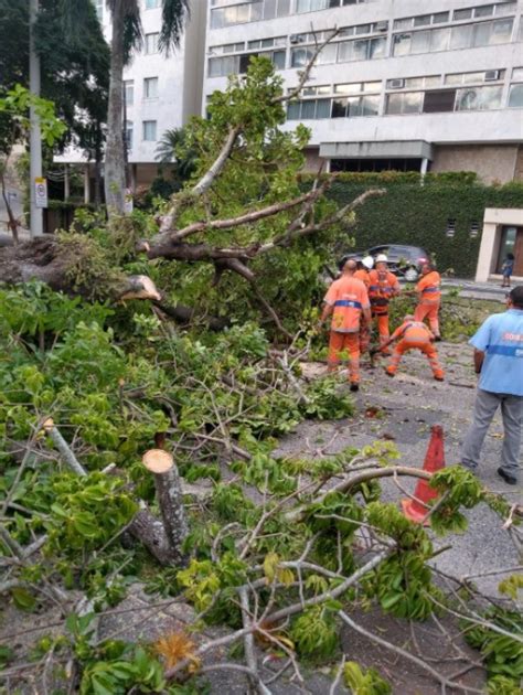 Queda De Rvore Bloqueia Avenida Epit Cio Pessoa Mobilidade Rio