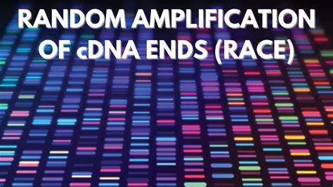 Rapid Amplification Of CDNA Ends RACE Genomics YouTube