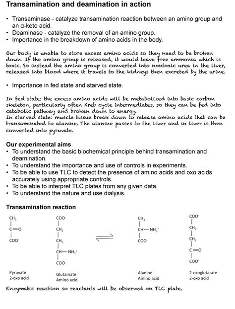 Transamination And Deamination Practical Transamination And