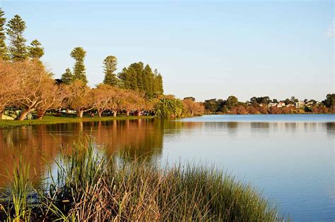 Lake Monger and Herdsman Lake Loop, Perth, Australia