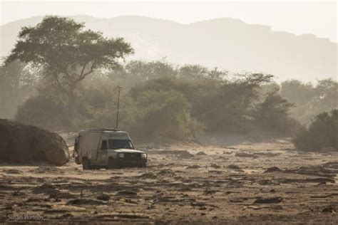 Namibia's Desert-Adapted Lions and the Man Who Loves Them