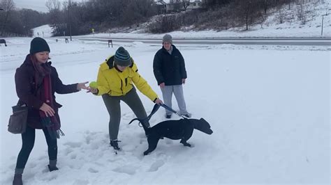 2021 Virtual Polar Plunge Youtube