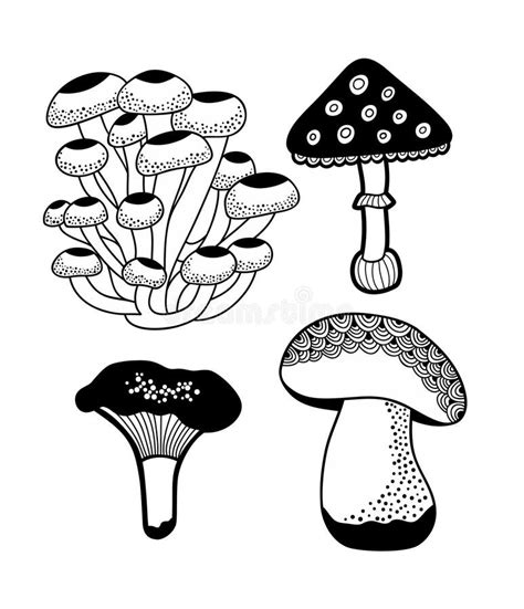 Set Of Doodle Mushrooms Stock Vector Illustration Of Morel