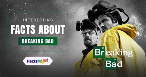 Interesting Facts About Breaking Bad Factswow