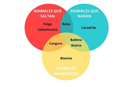 Diagrama De Venn Definici N Venn Diagrama Diferencias Hacen