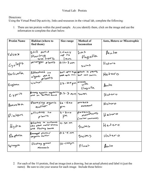 Protist Virtual Lab Virtual Lab Protists Directions Using The