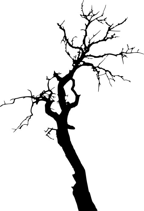 17 Dead Tree Silhouette (PNG Transparent) | OnlyGFX.com