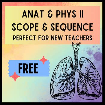 Anatomy Physiology Ii Scope Sequence Pacing Guide Free Tpt