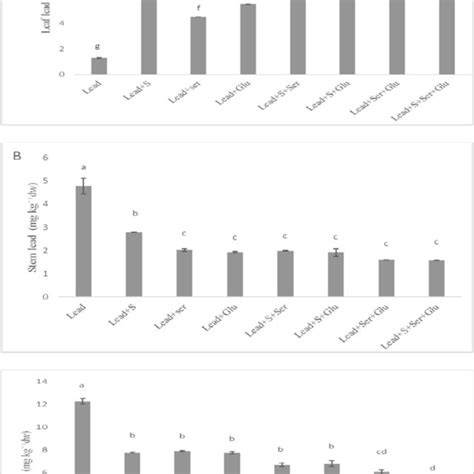 Effect Of Foliar Application Of Sulfur S And Amino Acids Serine Ser