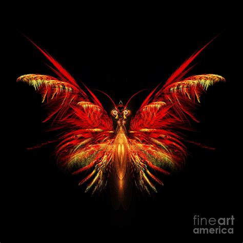 Fractal Butterfly Digital Art by John Edwards - Fine Art America