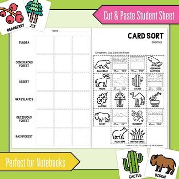 Biomes Card Sort Activity Digital Print Science Card Sorts By Ezpz