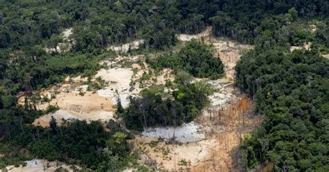 RED ECOLOGICA PORTUGUESA De dónde viene el mercurio que envenena la