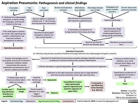 Aspiration Pneumonia | Calgary Guide