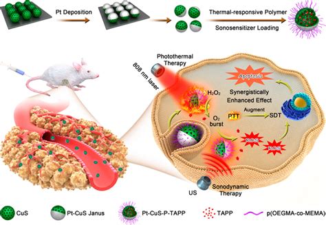 Schematic Illustration Of The Main Synthesis Procedures And Antitumor