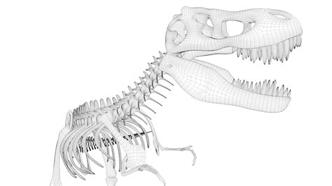 T-rex skeleton 3D model - TurboSquid 1432743