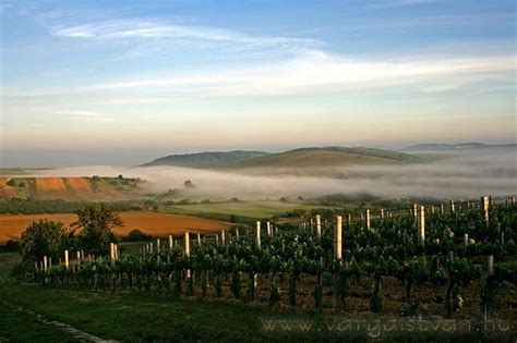 Tokaj wine region - Alchetron, The Free Social Encyclopedia