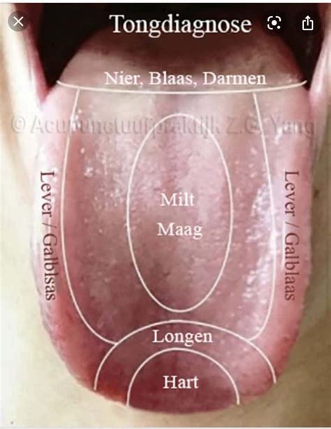 Dit Zegt Je Tong Over Je Gezondheid Blijtijdsnl