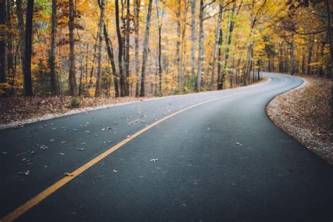 HD wallpaper: forest, road, winding road, curve, autumn, fall, leaves, golden | Wallpaper Flare