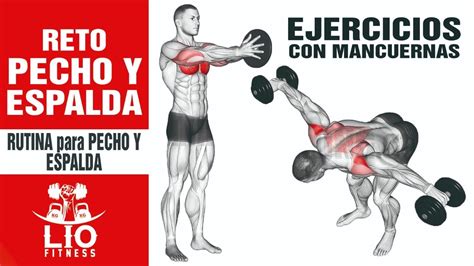 Reto Pecho Y Espalda 🥇 Rutina De Ejercicios Con Mancuernas Youtube