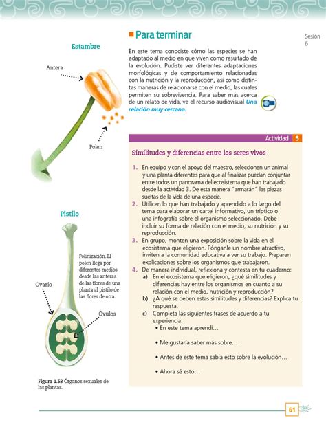 Ciencias y Tecnología Biología Primero Telesecundaria 2022 2023