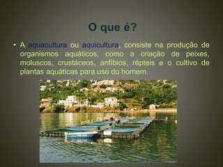 Aquacultura Aquicultura Ppt