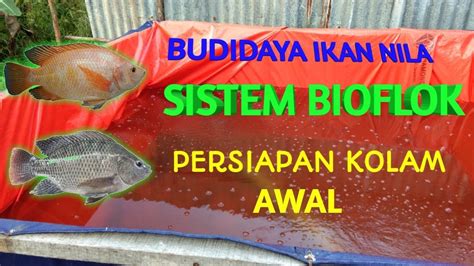 Budidaya Ikan Nila Sistem Bioflok - Eveny Biofloc