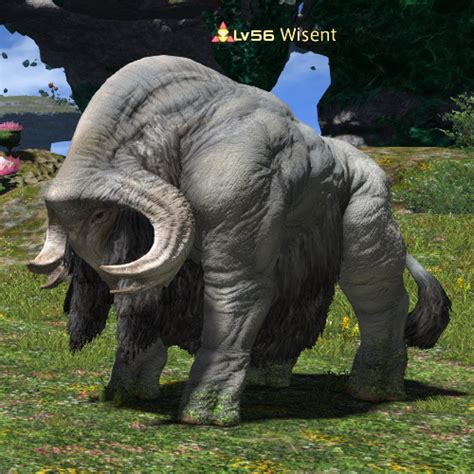 Wisent Gamer Escapes Final Fantasy Xiv Ffxiv Ff14 Wiki