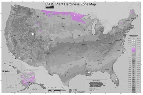 USDA Gardening Zone 3 | LoveToKnow