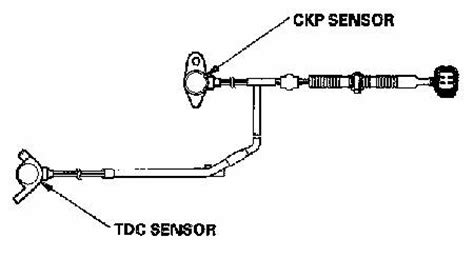 Sensor Tdc Con Ckp