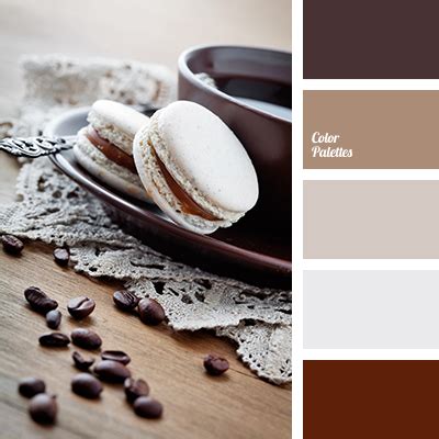 colour of cocoa | Color Palette Ideas