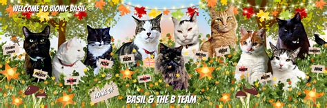 Bionic Basil Home Of Basil And The B Team We Re Back With Colouring