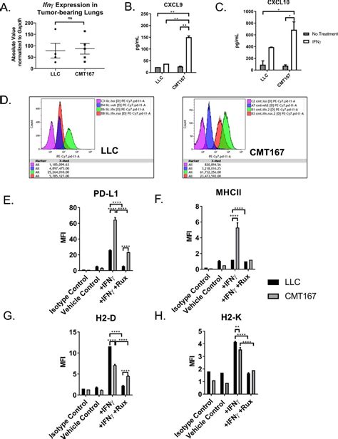 Tumor Intrinsic Response To Ifn Shapes The Tumor Microenvironment And