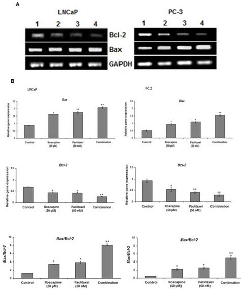 Synergistic Anticancer Effect Of Paclitaxel And Noscapine On Human