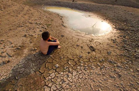 Mudanças climáticas tudo o que você precisa saber Biologia Net