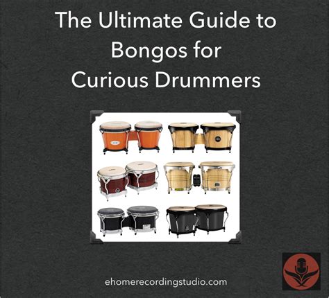 Bongos 101 The Ultimate Buyers Guide For Musicians