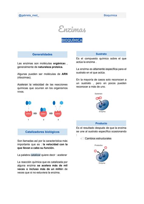 Solution Enzimas Studypool