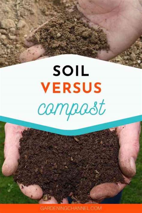 Compost vs Soil: What's the Difference? - Gardening Channel