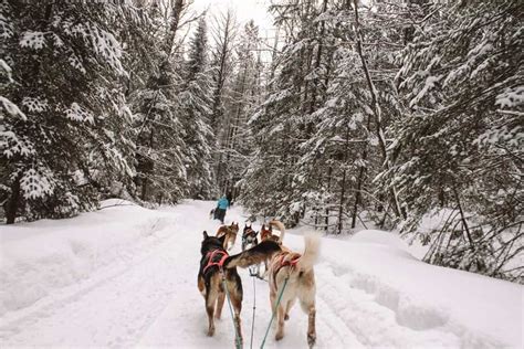 Best Places To Visit in Ontario in Winter (Top Winter Destinations ...