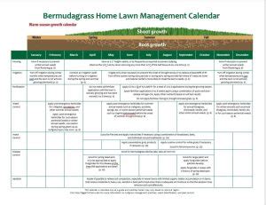 Complete Bermuda Grass Lawn Maintenance Calendar Year Round Tips