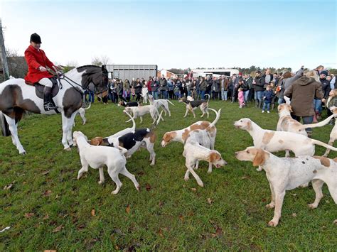 Boxing Day hunts set off amid fresh concerns over future | Shropshire Star