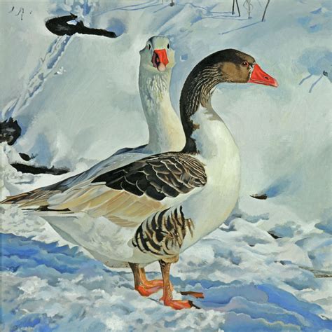 Geese In Snow By Graham Clark Oils On Board Acrylic Prints Art