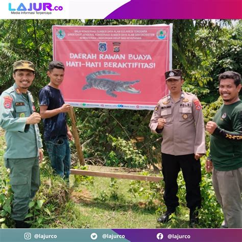 Buaya Kerap Muncul Bksda Sultra Pasang Papan Peringatan Lima Titik Di