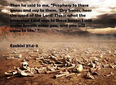 Ezekiel 374 Then He Said To Me Prophesy To These Bones Tell Them