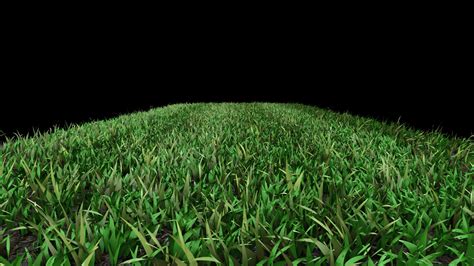 Lawn Grass 3d Model By Meraz99