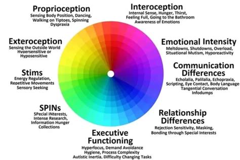 What Is The Autism Wheel?