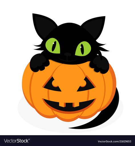 Halloween Black Cats And Pumpkins