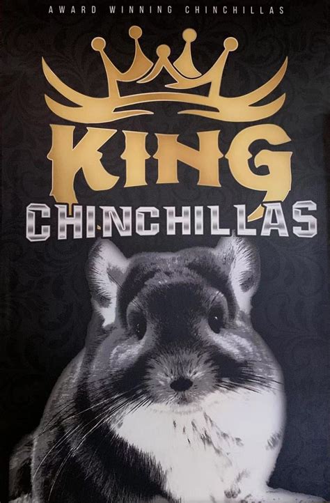 King Chinchilla Updated January 2025 15 Photos And 24 Reviews 1391