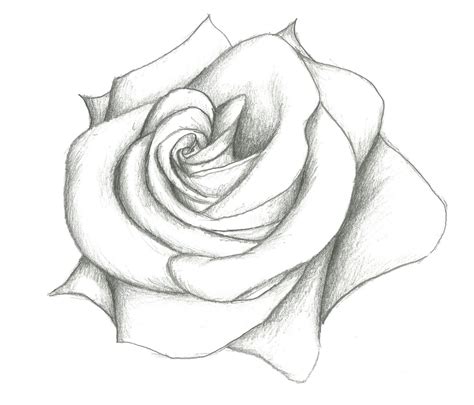 Simple Flower Designs For Pencil Drawing Step By Step How To Draw