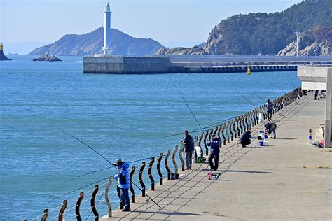 감천동편부두 감천항 부산광역시 서구 가볼만한곳 관광지랭킹